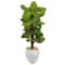 5ft. Large Leaf Philodendron Plant in White Oval Planter